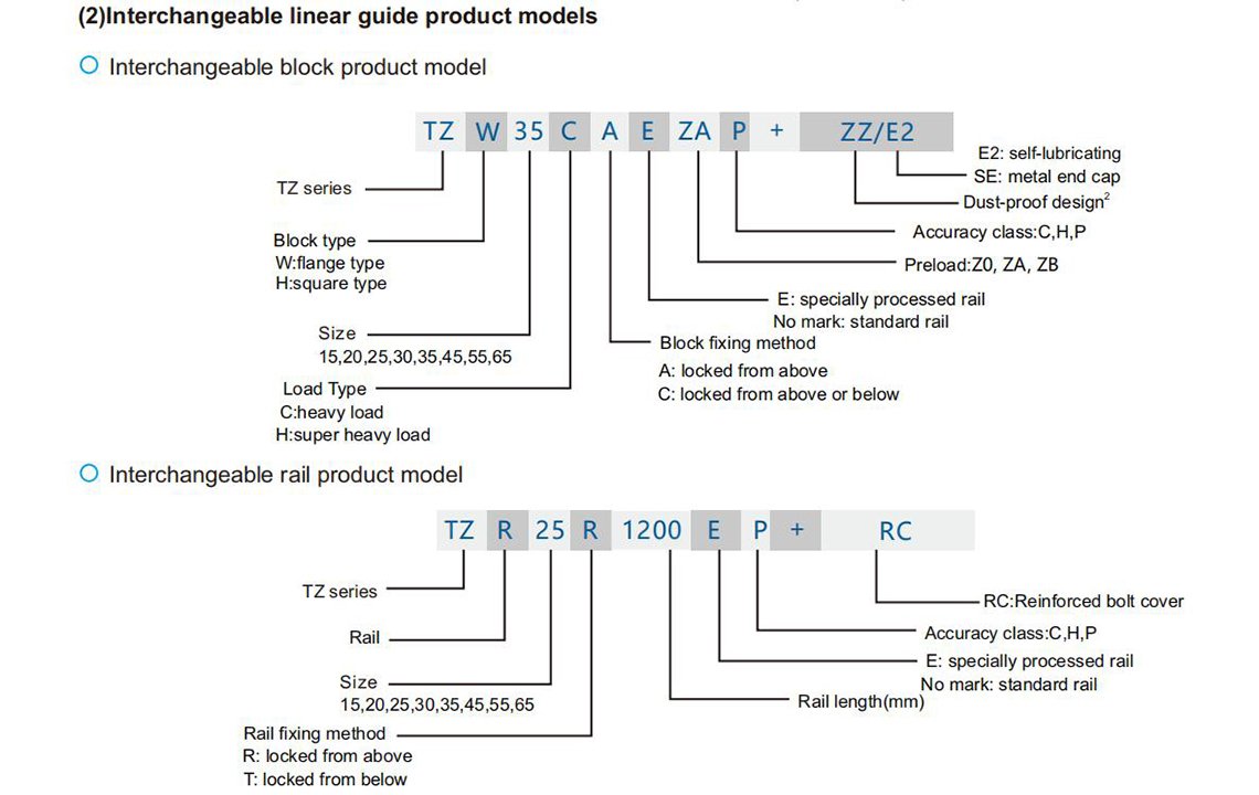 Interchangeable Model