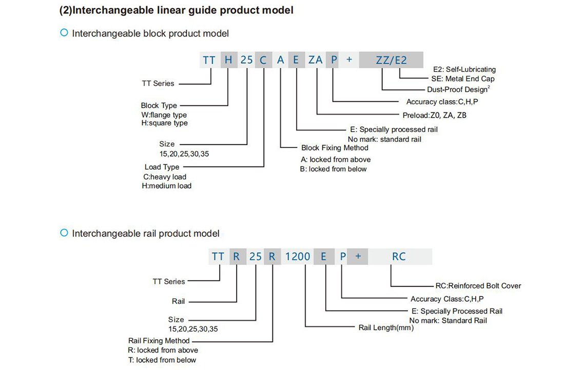 Interchangeable Model
